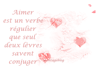 aimer est un verbe ...........