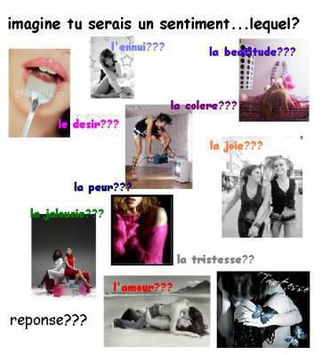 quel sentiment serais-tu???